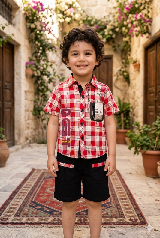 Boys Summer Outfit | size 18 to 22