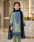 Premium Girls' Party Wear (size 20 to 36)