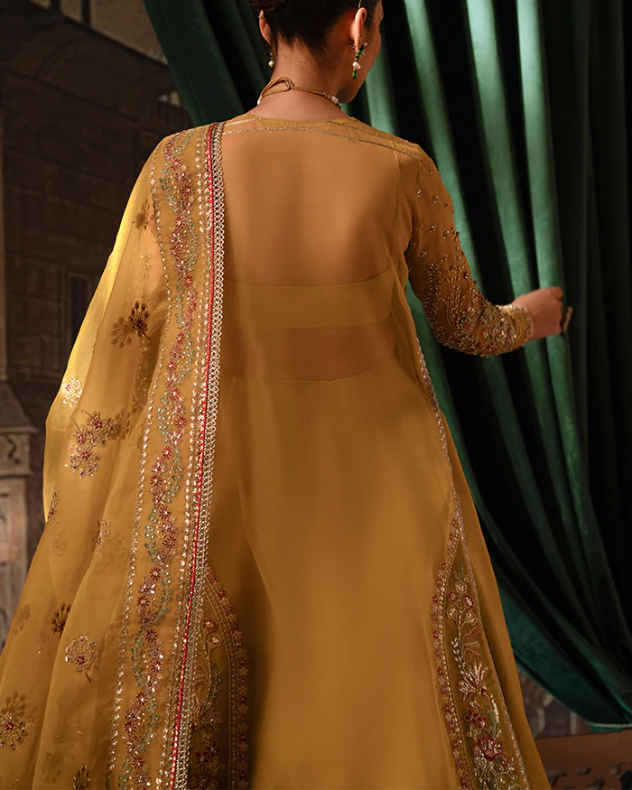 Bago Rani Bano Rani - Zevk – Abdullah Sons