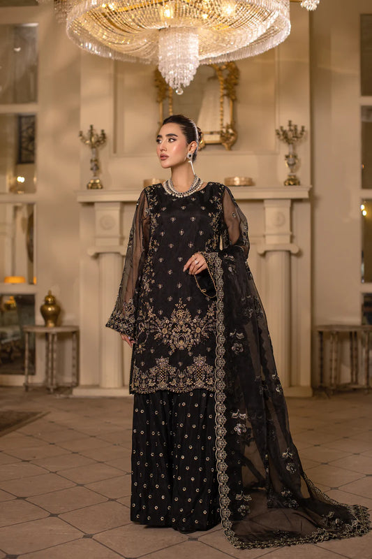 Noctura - Rajkumari By Sidra Aleem