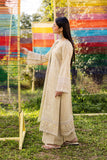 Y-1210 - Ramsha