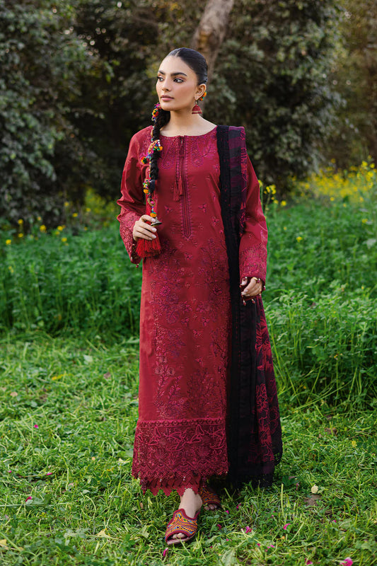 Y-1204 - Ramsha