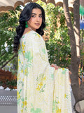 Rut Rang by Riaz Arts Design 05 – Digital Print Embroidered Lawn Suit with Diamond Slub Dupatta | 3 Piece Unstitched