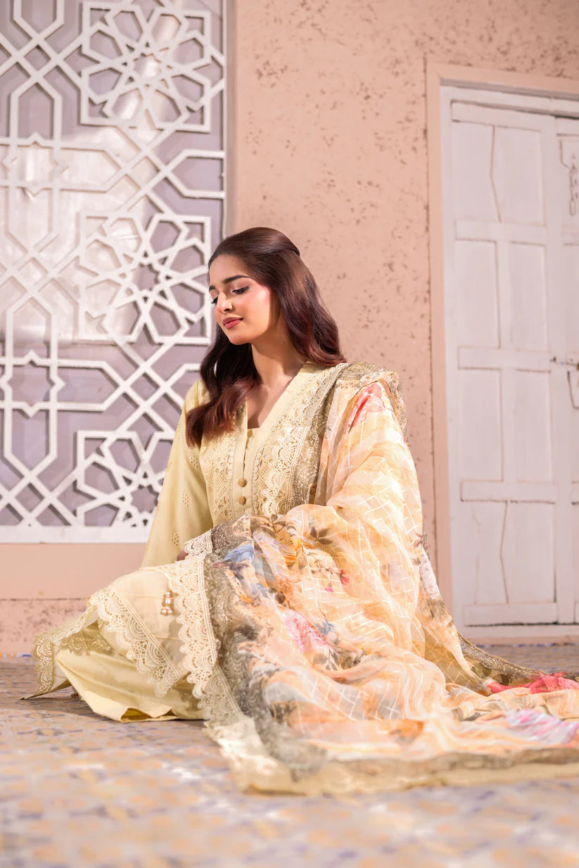 Aafreen - D2 - DOR
