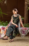 Elysian-(YKL25-11) - Asifa