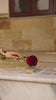 Rang Rasiya Zaiena - Amber Gold Embroidered Chiffon Formal Suit (Unstitched)