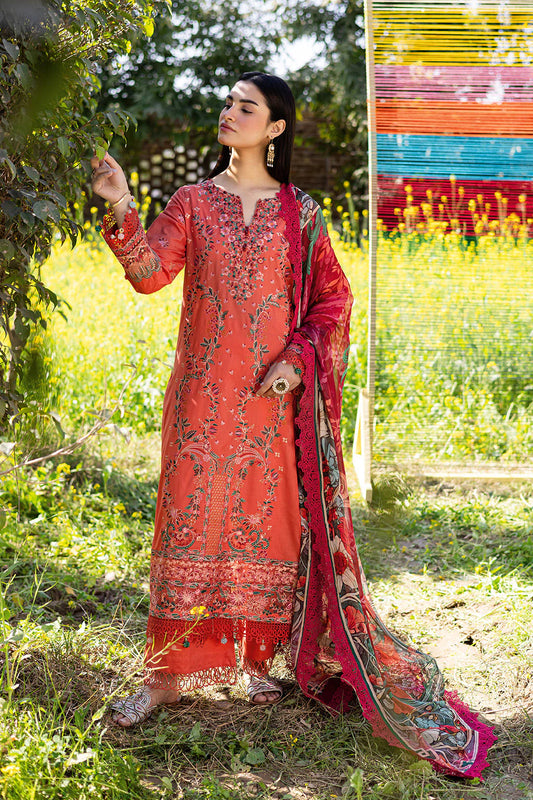 Y-1205 - Ramsha